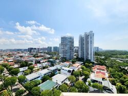 Peach Garden (D15), Apartment #561478651
